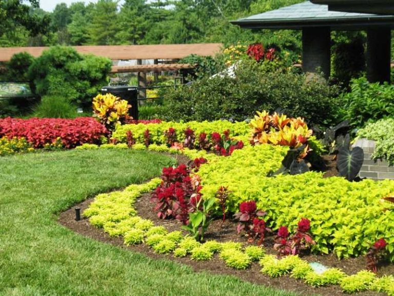 Lounging Your New Landscape