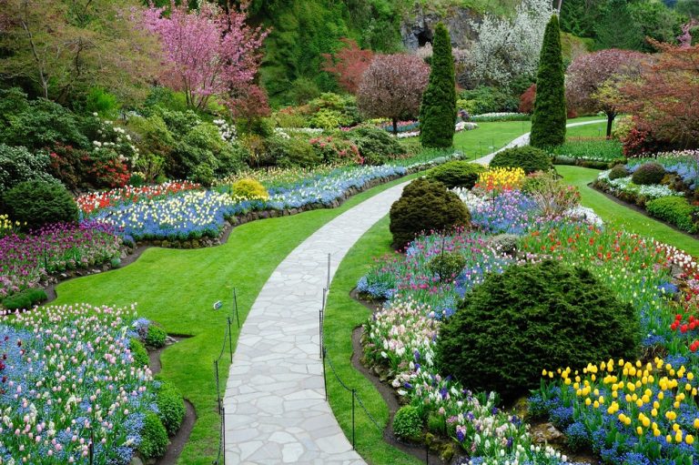 Backyard Landscape Plan – Consider Your Family’s Lifestyle First