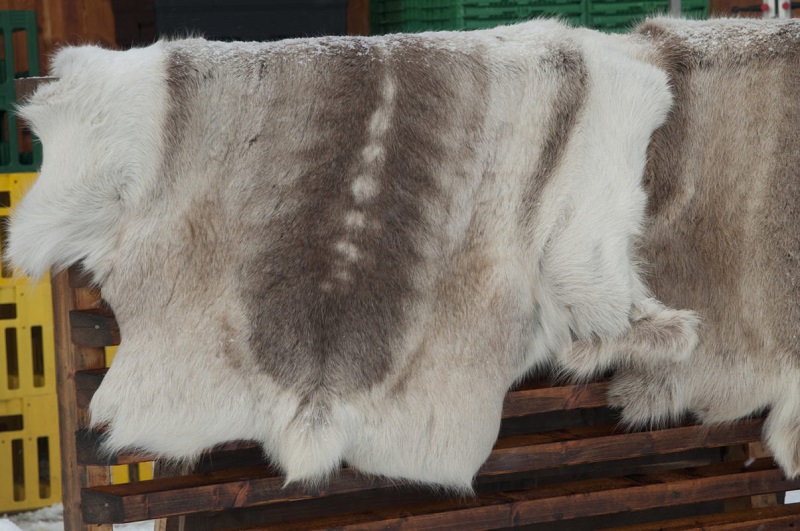 Animal Hide Rugs