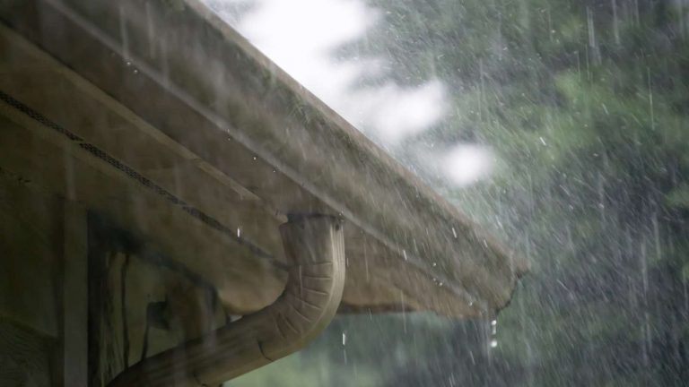 How Checking Your Gutters Can Save Your Roof?