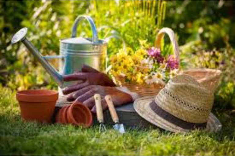 Find affordable plumbing services without compromising quality