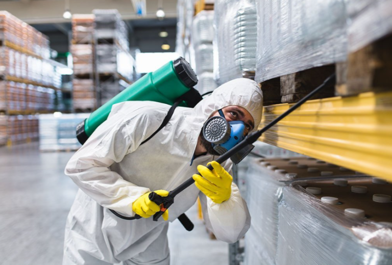 Keeping Your Home Pest-Free with Professional Pest Control in Troy, NY