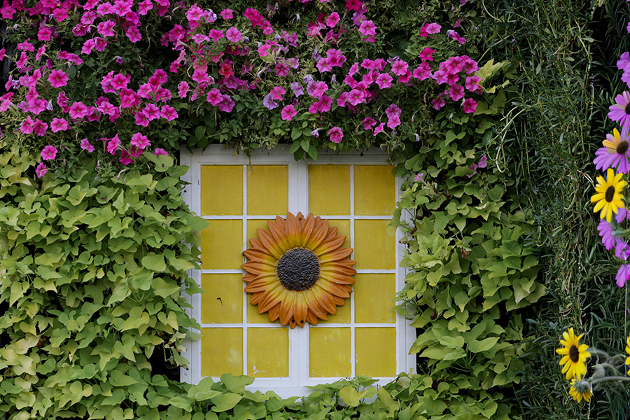 How Thoughtful Design Transforms a London Townhouse Garden