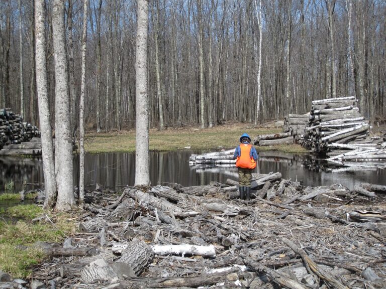 Understanding Private Water Quality in Southeastern Minnesota