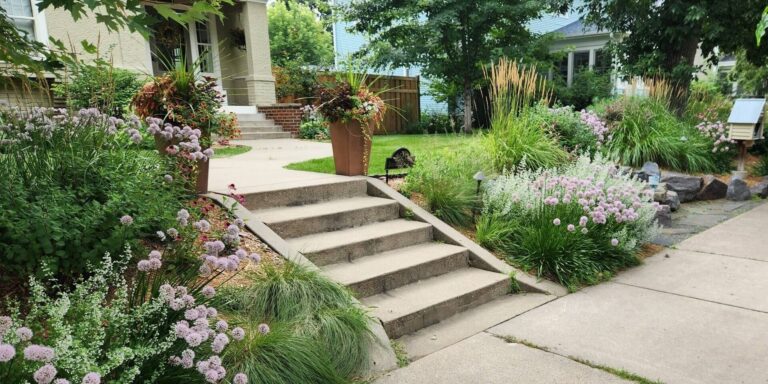 Transform Your Lawn Year-Round: The Secret to a Thriving Outdoor Space in the Twin Cities