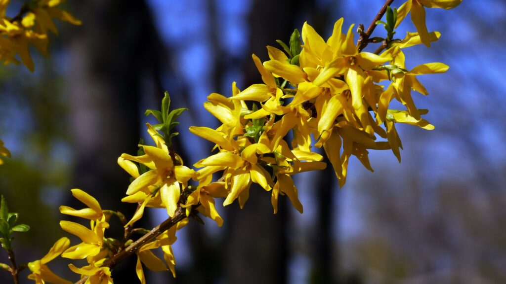 Milagrow iMap G5 ULTRA: The Best Smart Vacuum for Your Home